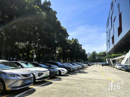 廣東省博物館回應車庫禁停新能源車 基于消防安全要求，非歧視性政策